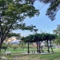 Okazaki City Park: Where Nature and Relaxation Meet