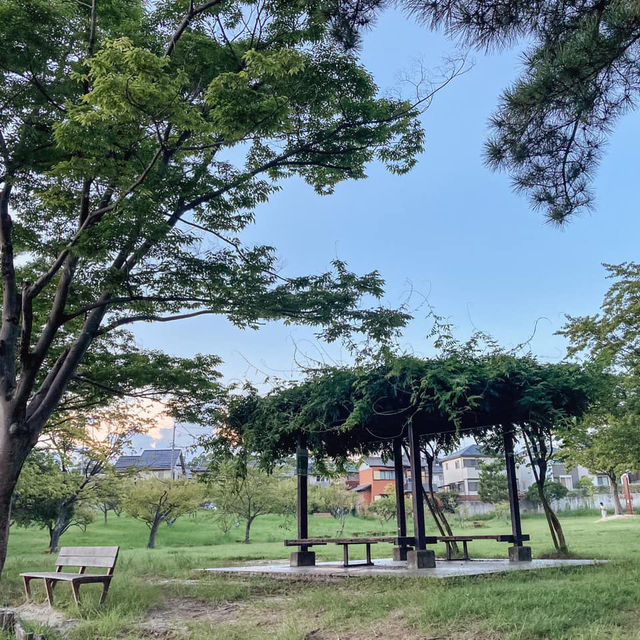 Okazaki City Park: Where Nature and Relaxation Meet
