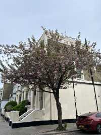 🌷Notting Hill London 🫶🌸 ย่านแห่งสีสัน โรแมนติก