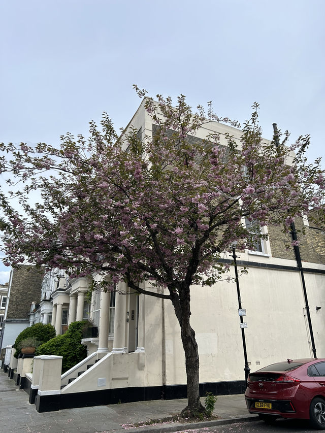 🌷Notting Hill London 🫶🌸 ย่านแห่งสีสัน โรแมนติก