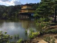 ⛩️ 京都金閣寺｜閃耀金光的夢幻世界遺產 
