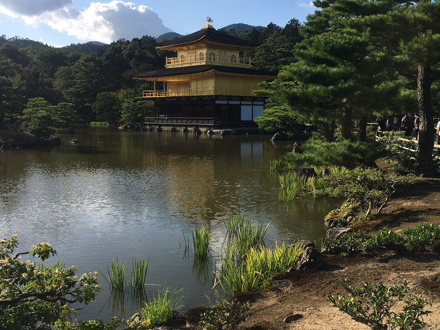 ⛩️ 京都金閣寺｜閃耀金光的夢幻世界遺產 