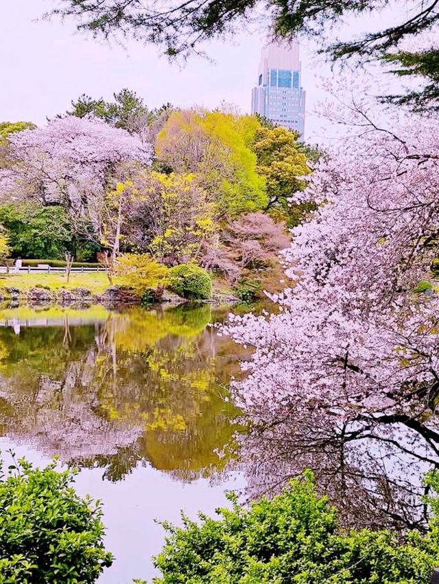 River in Tokyo