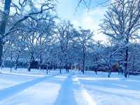 〜北海道大学で“学び”と“癒し”のひとときを〜