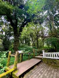 Chiang Mai’s Springtime Paradise