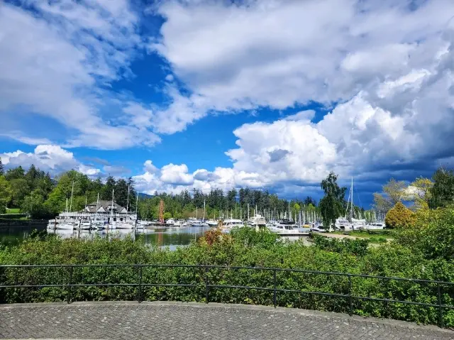 การเดินเล่นในสวนสแตนลีย์: เรือยอชต์ ความสงบ และวิวที่น่าจดจำ