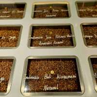 % Arabica Coffee at Kuan Alley and Zhai Alley