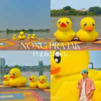 มาถ่ายรูปกับน้องเป็ดเหลือง ที่อุดรกันนน ✨🐤