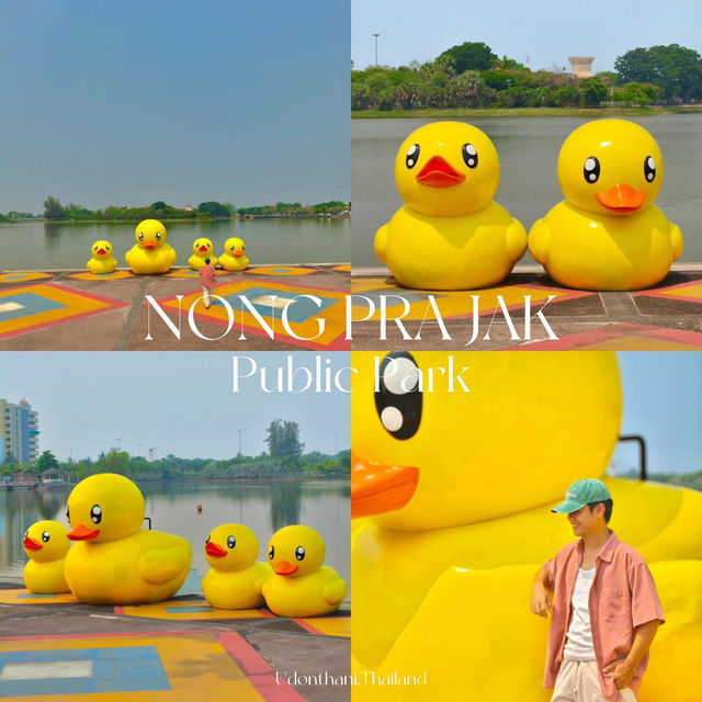 มาถ่ายรูปกับน้องเป็ดเหลือง ที่อุดรกันนน ✨🐤