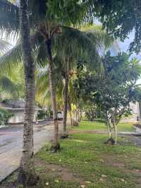 @roxas