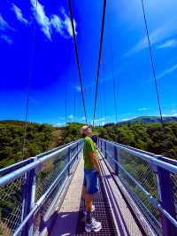 穿越僻靜山谷的高空吊橋