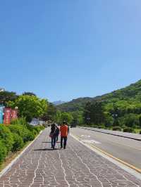 📍 보은 법주사 고즈넉한 사찰 여행기 