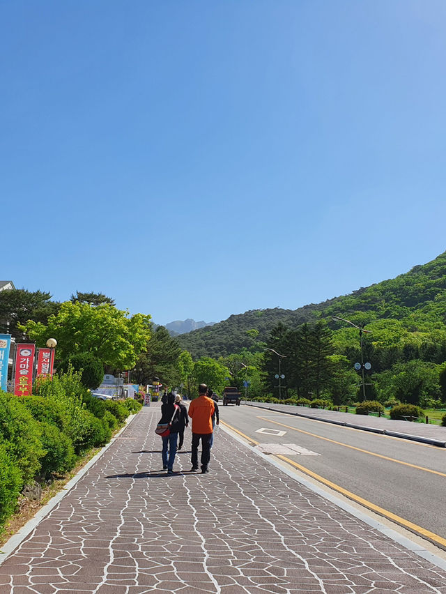 📍 보은 법주사 고즈넉한 사찰 여행기 