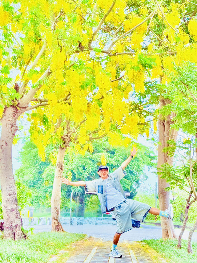 崙頂里河堤步道