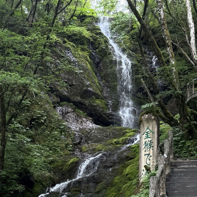 📝端午秘境奇遇 | 三天解鎖神農架野性浪漫🗿
