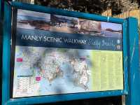 Manly to Shelly Beach – A Coastal Walk Worth Slowing Down For
