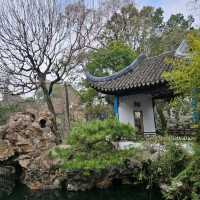 Lion Grove Garden: Rock Maze