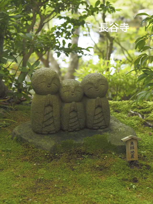 鎌倉　オススメ紫陽花スポット　2選