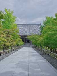 【行く前にこれ見て】名勝庭園を彩る翠の絨毯！心静かに新緑の美を味わう🌿✨※周辺観光情報付