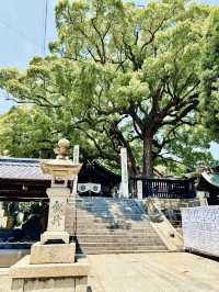 貓之細道