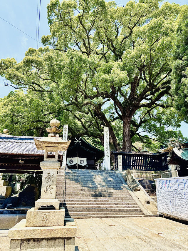 貓之細道