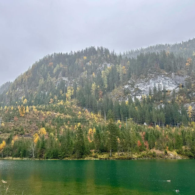 🏔️ *"Alpine Serenity: A Blissful Escape to Lake Gosau’s Emerald Shores"* 🌲💎