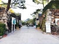 【🇯🇵高松】朝の静寂に包まれた玉藻公園で心穏やかなひとときを