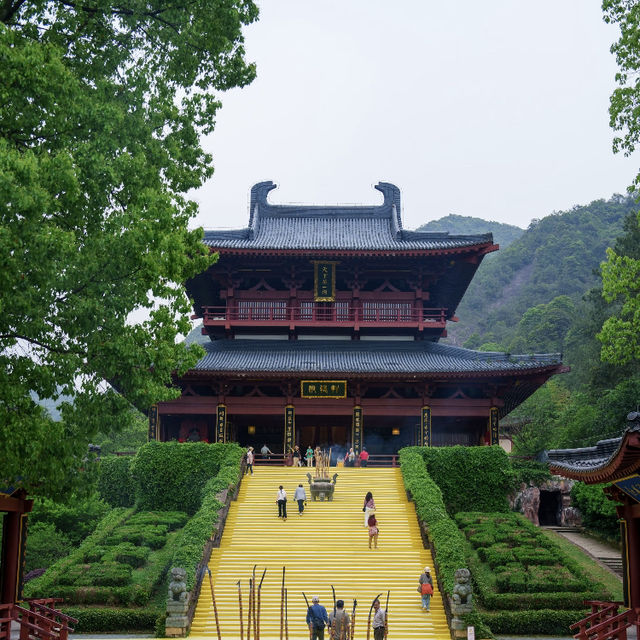 🌿 縉雲仙都 | 被滿屏綠意治癒的24小時