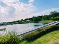 『 国営ひたち海浜公園 』