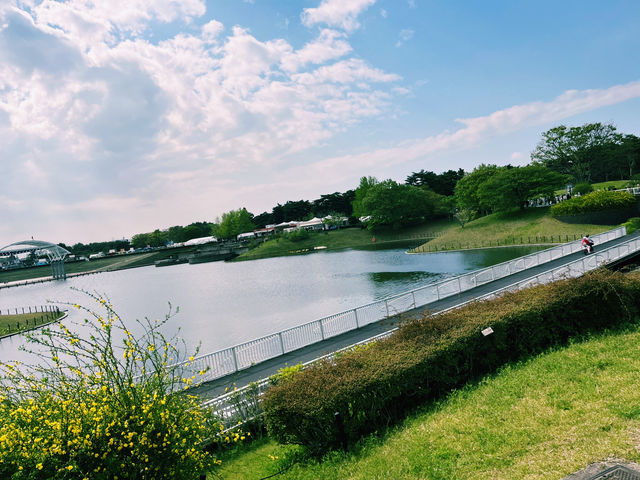 『 国営ひたち海浜公園 』