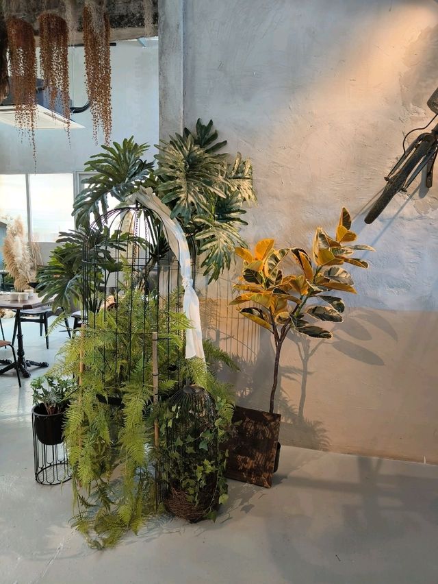 Aesthetic Vibes & Plant-Based Delights