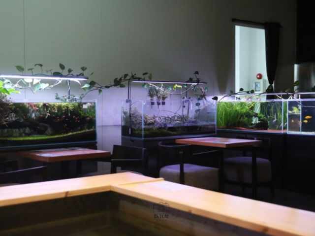 🎣 인천 중구 이색 낚시카페로 즐기는 실내 데이트!