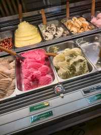 해외여행 칠레 아이스크림 맛집 Artisan gelateria Aluen Patagonia