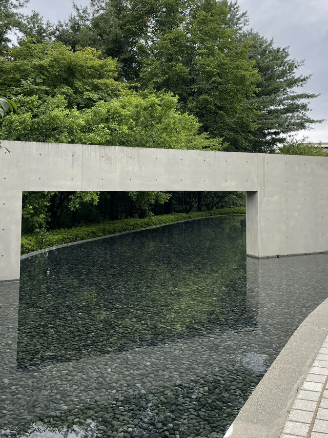 ⛰ 산속에서 만나는 예술, 원주 뮤지엄 산