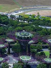 สิงคโปร์🇸🇬