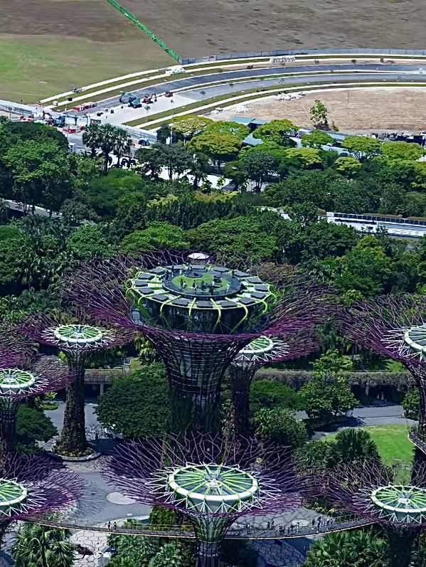สิงคโปร์🇸🇬