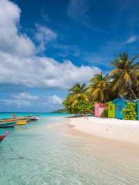 The Caribbean