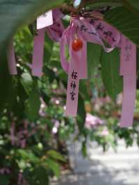 🌸⛩️**【桜神宮｜東京・世田谷】