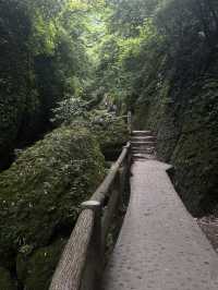 A Quiet Afternoon in Qingcheng’s Back Mountain