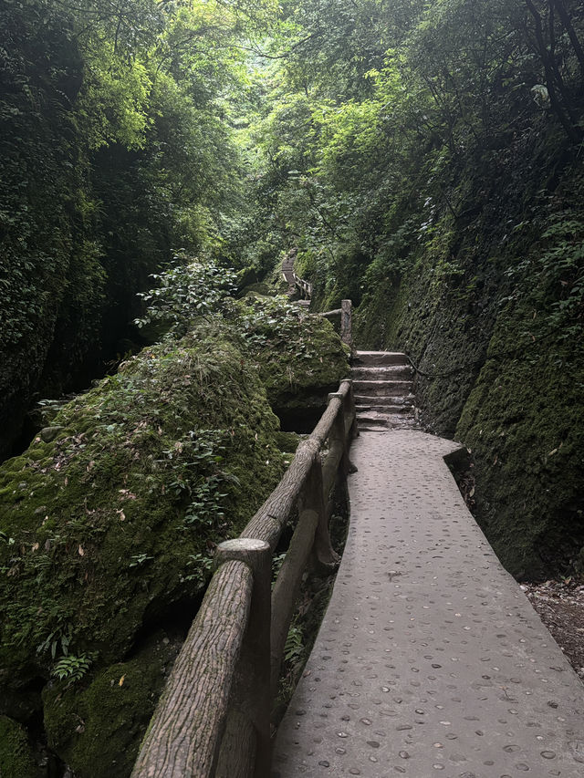 A Quiet Afternoon in Qingcheng’s Back Mountain