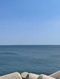 🌊 묵호에서 망상까지 바다 따라 걷는 동해의 하루