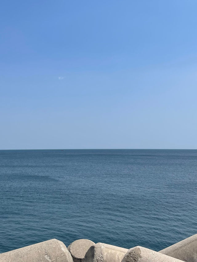 🌊 묵호에서 망상까지 바다 따라 걷는 동해의 하루