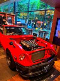 Tokyo After Dark: A Midnight Escape into Tsutaya Books, Daikanyama