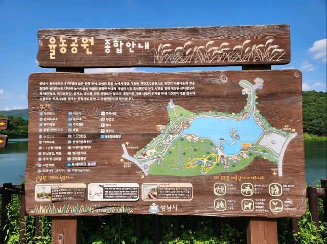 Yuldong Park Has It All