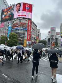 東京之旅