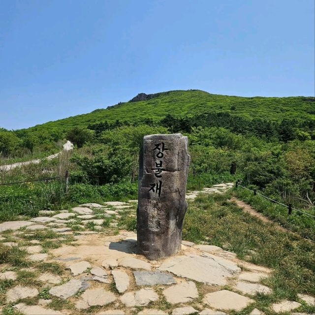A Day Up Mudeungsan