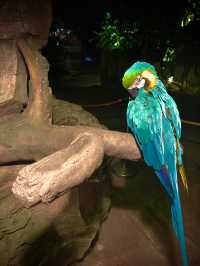 “Tambun Treasures: Nature, Thrills & Hot Springs”
