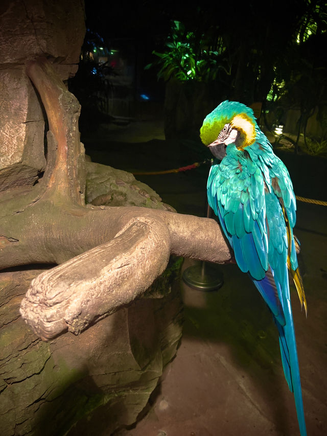 “Tambun Treasures: Nature, Thrills & Hot Springs”