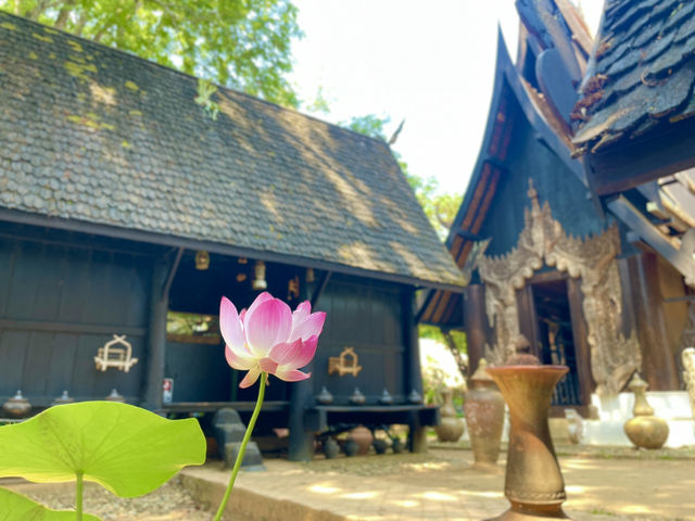 A budget trip to the Baan Dam Museum👬😍💐😎