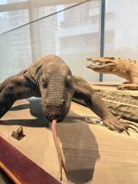 Shanghai Natural History Museum